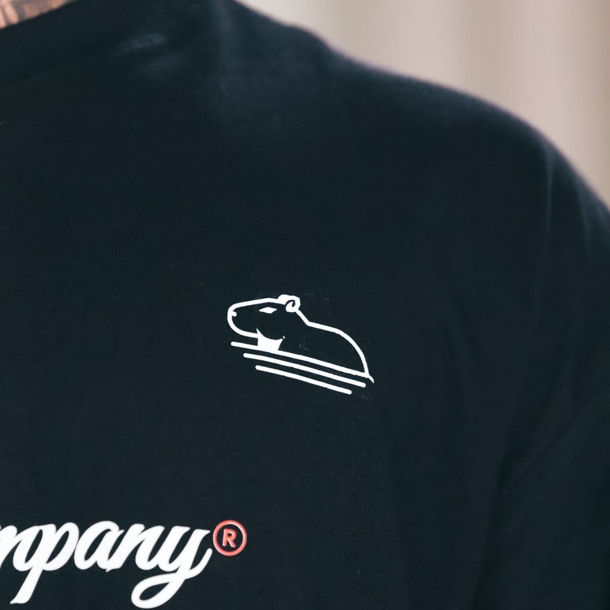 Camiseta Oversized Preta Molotov Quazza Company
