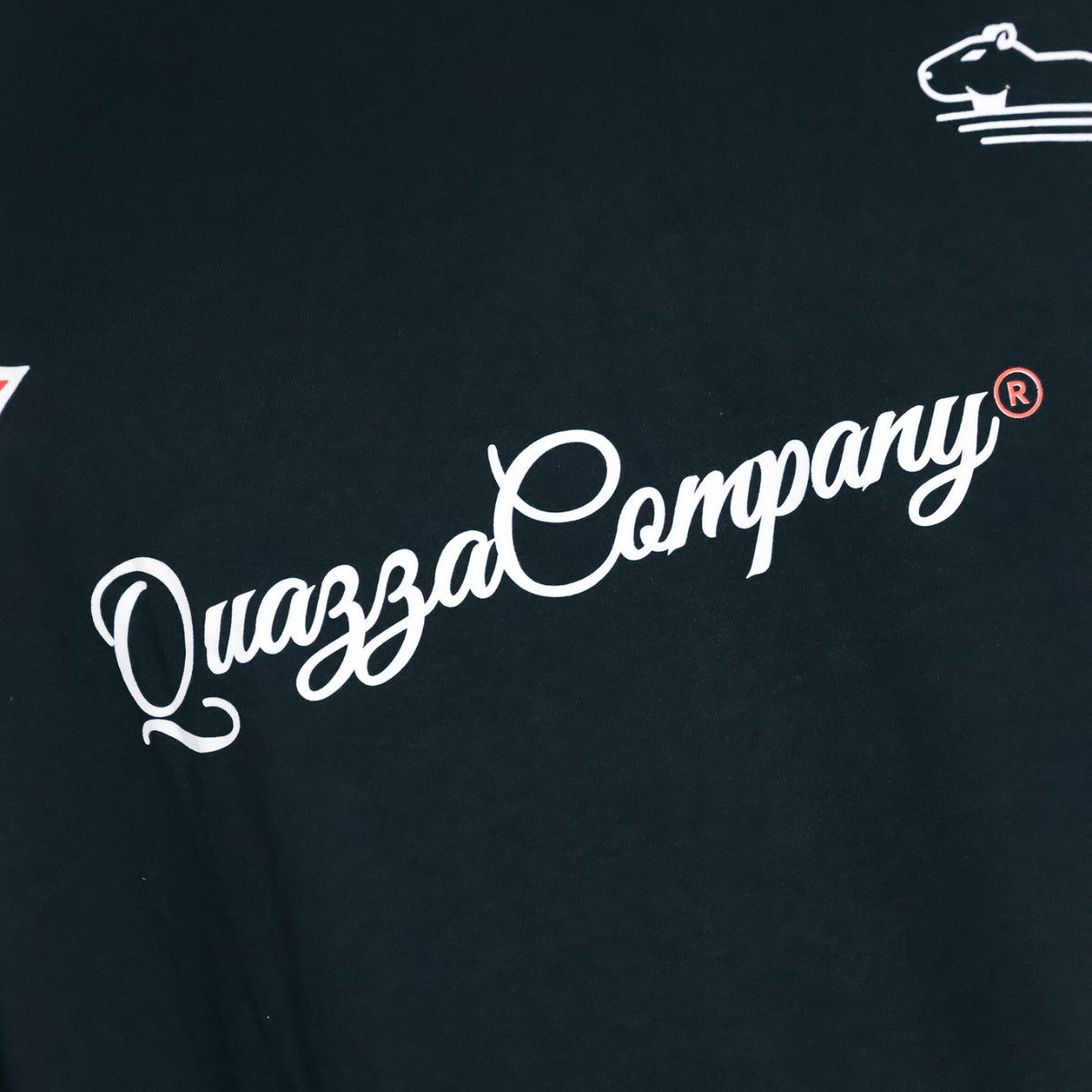 Camiseta Oversized Preta Molotov Quazza Company