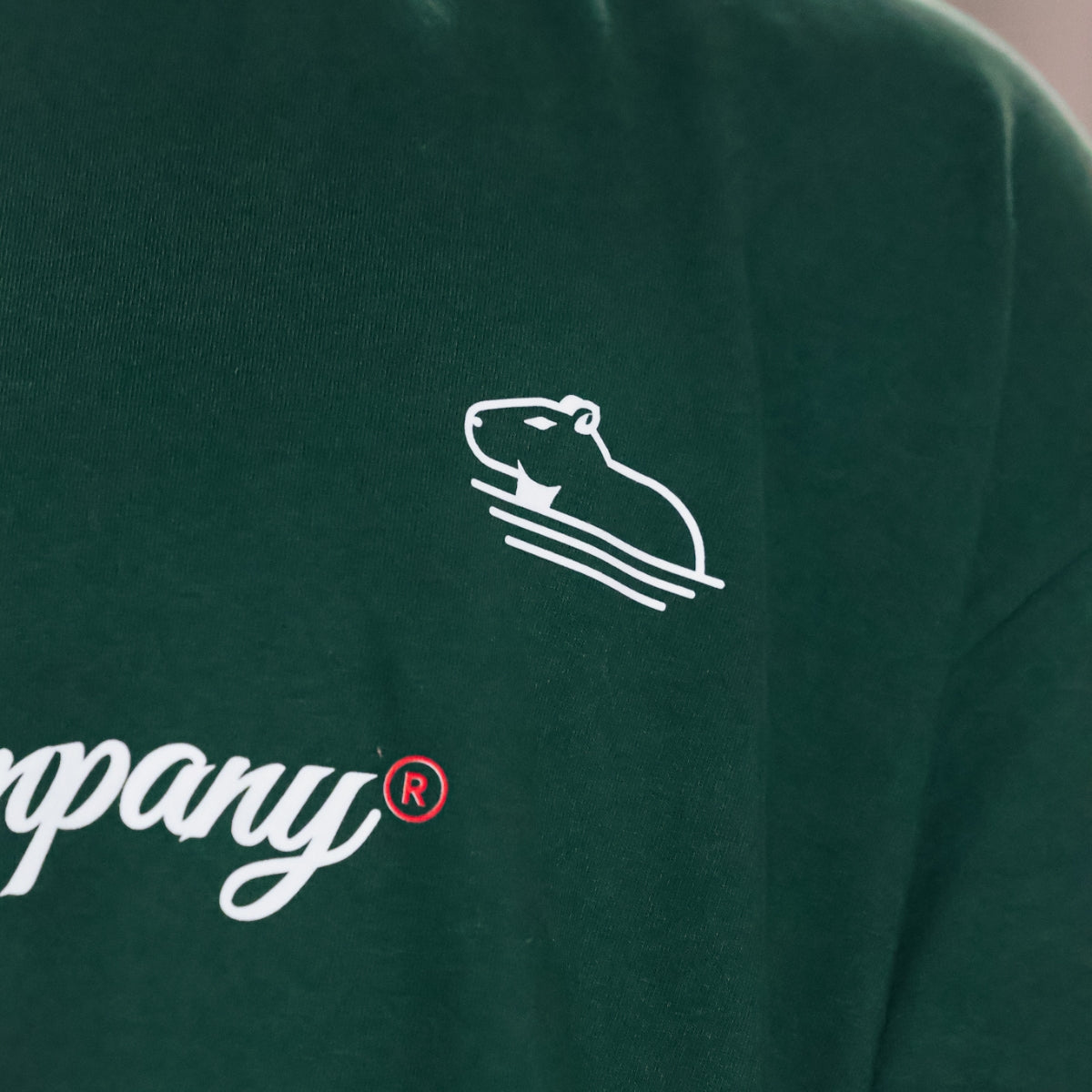 Camiseta Oversized Verde Molotov Quazza Company