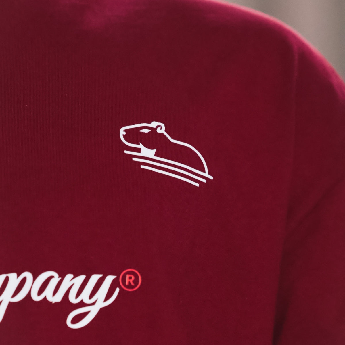 Camiseta Oversized Vermelha Molotov Quazza Company