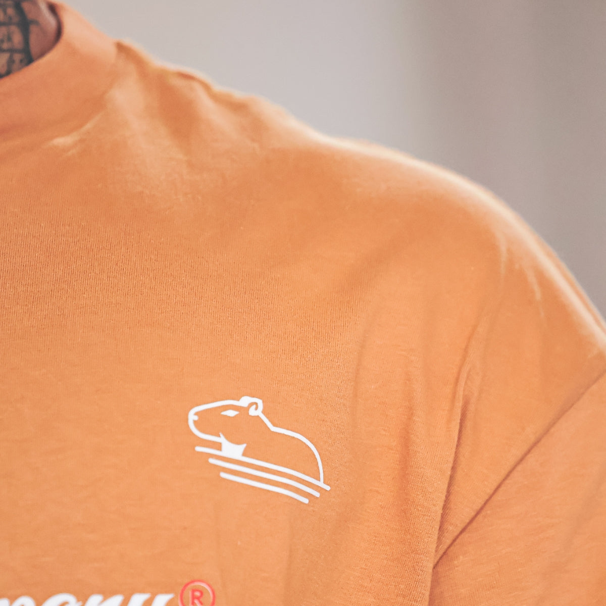 Camiseta Oversized Bege Molotov Quazza Company