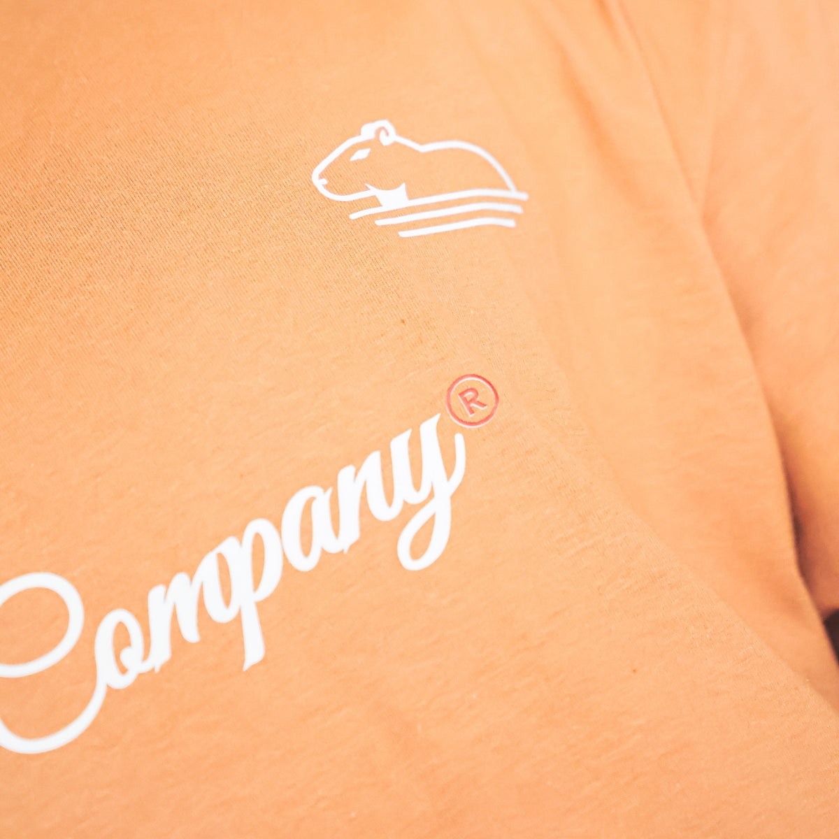 Camiseta Oversized Bege Molotov Quazza Company