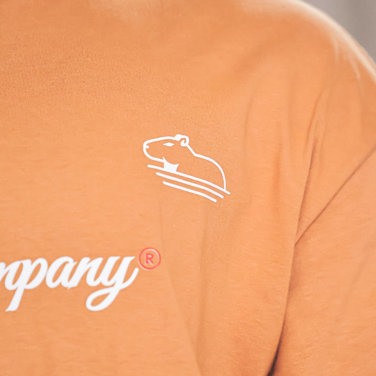 Camiseta Oversized Quazza Company MOLOTOV